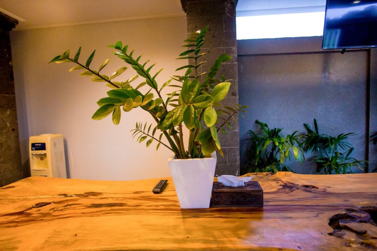 萨菲尔别墅 坎古 外观 照片